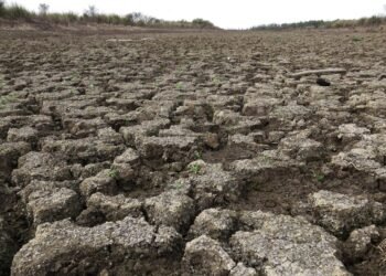 Los desastres climáticos se quintuplicaron en los últimos 50 años, según la ONU