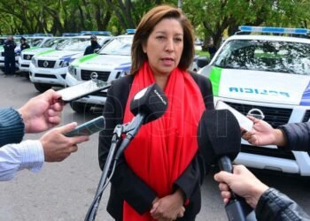 Para las organizaciones indígenas, “la política antimapuche del Gobierno de Río Negro ha costado una vida”