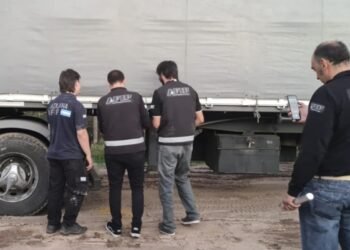 La AFIP evitó una millonaria exportación agropecuaria ilegal