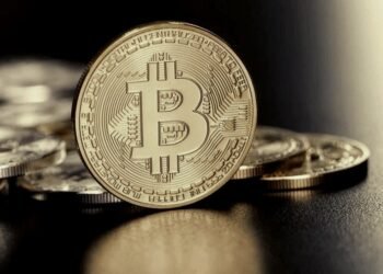 El mercado cripto perdió la mitad de su valor en los últimos 70 días