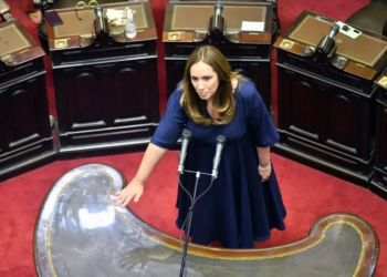 Pidieron la exclusión de Vidal de Diputados por “inhabilidad moral”