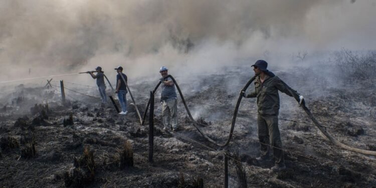 El Gobierno declaró el estado de emergencia y de desastre agropecuario en Corrientes