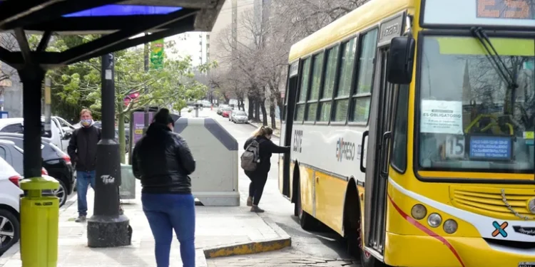 Fin del barbijo obligatorio en La Plata: será optativo para los colectivos, comercios y dependencias municipales