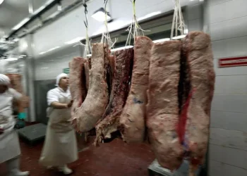 El consumo de carne no despega: en febrero cayó 1,8% interanual y se ubicó en 48 kilos por habitante al año