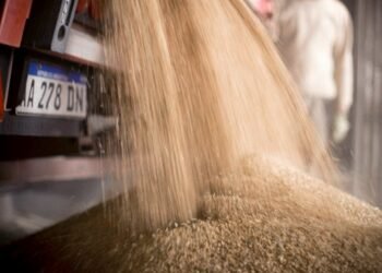 El Gobierno analiza una serie de medidas para contener la suba de precios de los alimentos