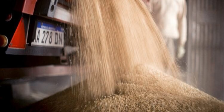 El Gobierno analiza una serie de medidas para contener la suba de precios de los alimentos