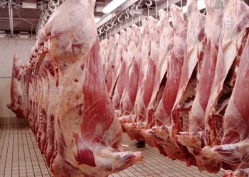 El Gobierno amenaza con frenar las exportaciones de los frigoríficos que no cumplan con acuerdos de precios de carne