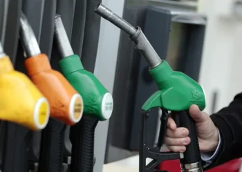 Estaciones de servicio advierten sobre posibles faltantes de gasoil durante Semana Santa