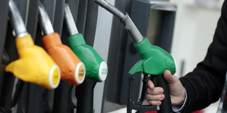 Estaciones de servicio advierten sobre posibles faltantes de gasoil durante Semana Santa