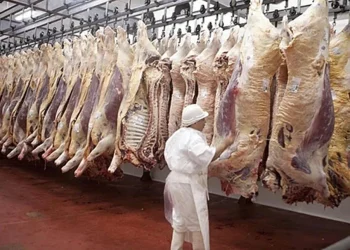 Siguen los efectos de las restricciones oficiales: en los primeros 5 meses del año, las exportaciones de carne cayeron más de un 7%