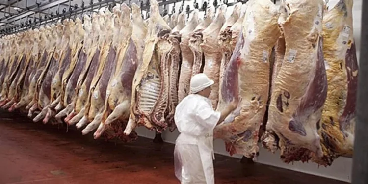 Siguen los efectos de las restricciones oficiales: en los primeros 5 meses del año, las exportaciones de carne cayeron más de un 7%
