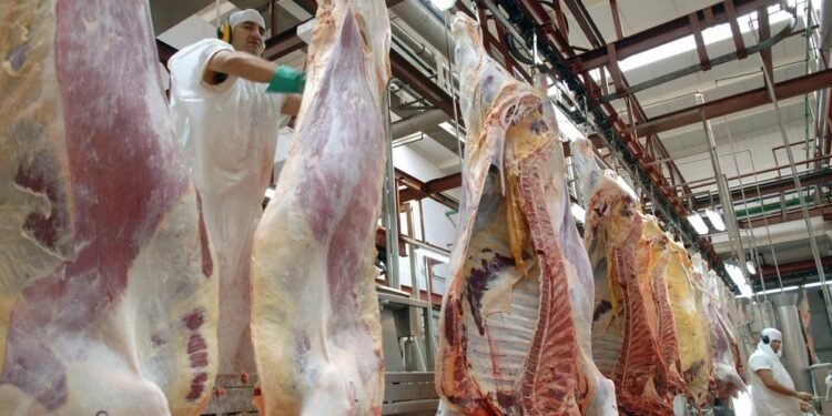 Si se mantiene el aumento del 15% en las exportaciones de carne hasta fin de año, podrían ingresar USD 100 millones más