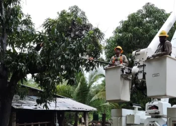 El Gobierno sancionará a Edenor y Edesur por dejar hasta 570.000 usuarios sin servicio eléctrico a lo largo del fin de semana