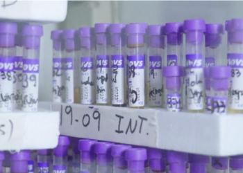 Publican los resultados de un estudio realizado por el Grupo Techint sobre las vacunas anti-covid