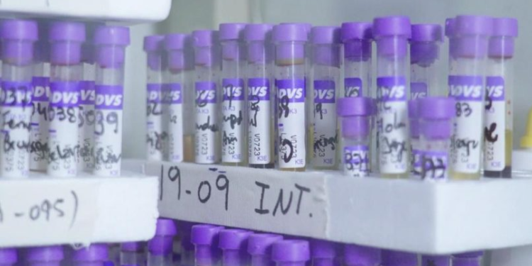 Publican los resultados de un estudio realizado por el Grupo Techint sobre las vacunas anti-covid