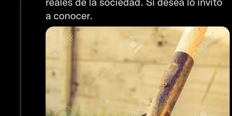 El desafío de las palas: una diputada hizo un papelón al subir una imagen con marca de agua