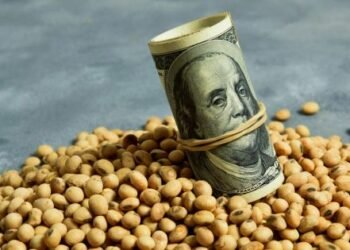 El dólar soja y un ajuste en el gasto le permitieron al Gobierno sobrecumplir la meta fiscal con el FMI