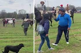 Atacaron a rebencazos a mujeres que protestaban contra el maltrato animal en una jineteada en San Miguel