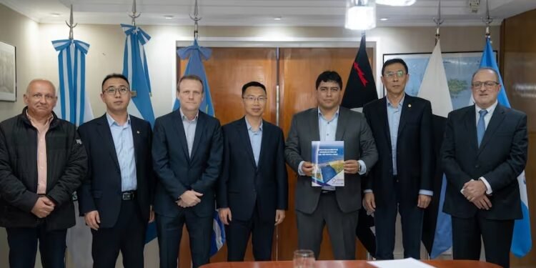 El mensaje de Milei sobre las represas de Santa Cruz preocupa en los empresarios chinos