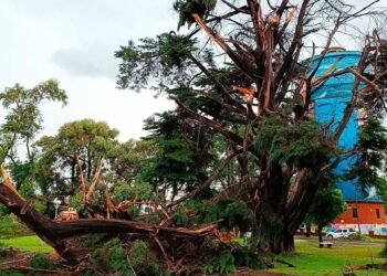 Temporal de Miramar: falleció una mujer y ya son dos las víctimas