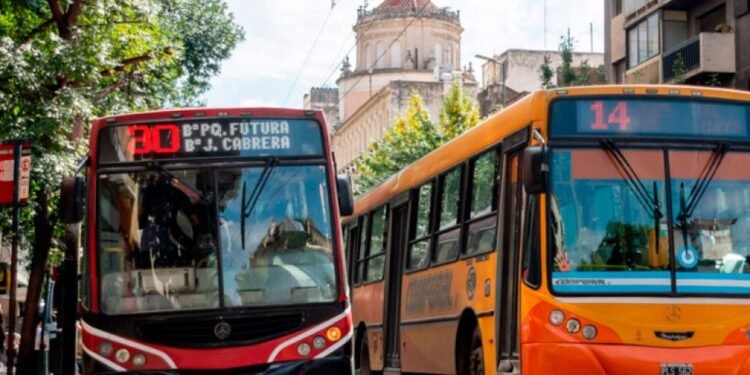 La Secretaría de Transporte dejó de subsidiar a más de mil colectivos en el AMBA