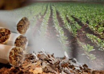 El impuesto al tabaco se agregó a la Ley Bases