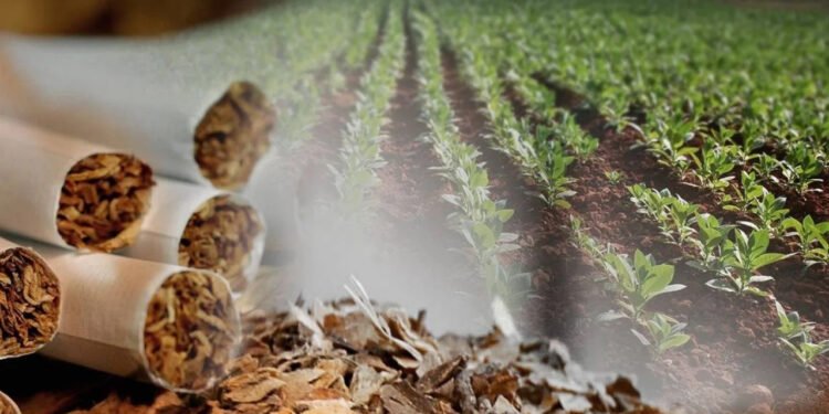 El impuesto al tabaco se agregó a la Ley Bases