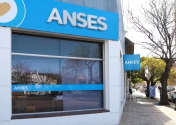 El ANSES confirmó los números