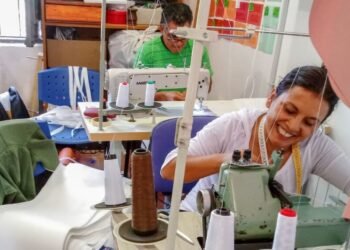 El Senado mantuvo el monotributo social y el plan del Gobierno para derogarlo vuelve a Diputados