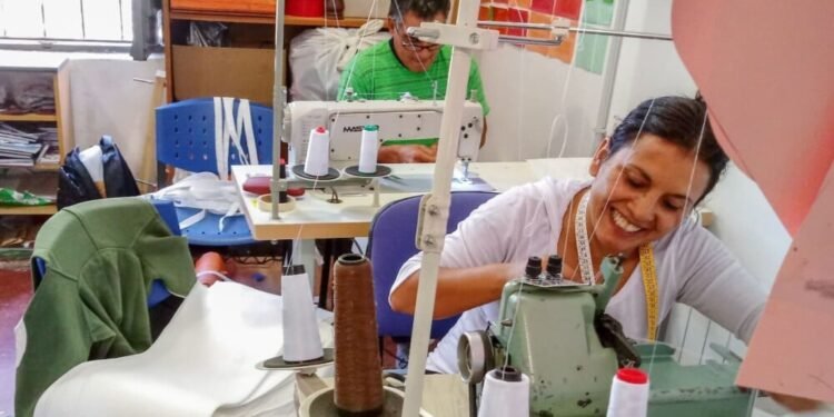 El Senado mantuvo el monotributo social y el plan del Gobierno para derogarlo vuelve a Diputados