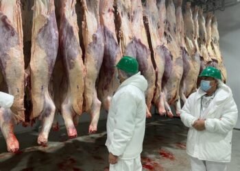 Frigoríficos locales advirtieron por la abrupta caída en el consumo de carne