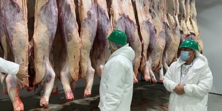 Frigoríficos locales advirtieron por la abrupta caída en el consumo de carne