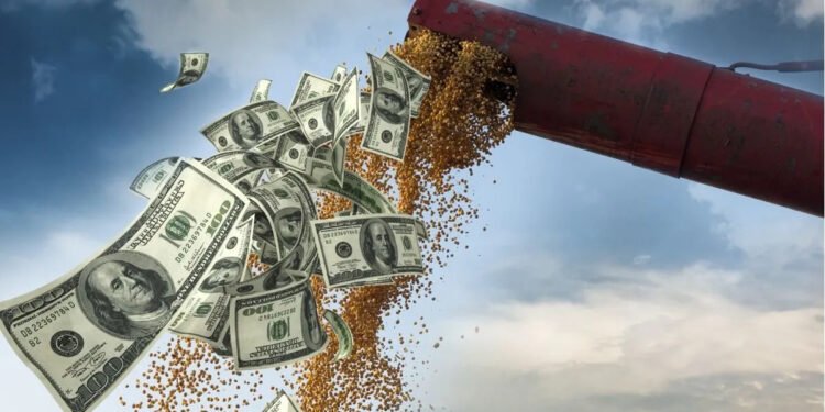 En mayo, el ingreso de dólares del campo fue 37% menor que en 2023