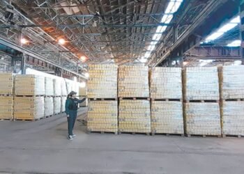 El Gobierno apuntó contra el juez Casanello y anticipó que hoy comenzará a distribuir los alimentos retenidos