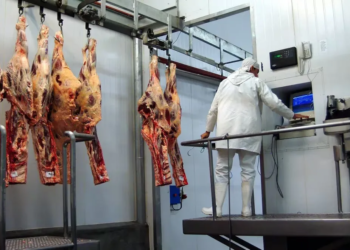 Histórico: el consumo de carne llegó a su nivel más bajo en 110 años