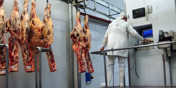 Histórico: el consumo de carne llegó a su nivel más bajo en 110 años