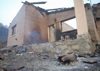 Incendios en Córdoba: el fuego no da tregua y los fuertes vientos complican el trabajo de los brigadistas