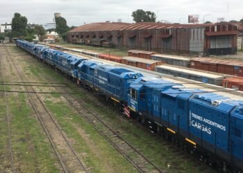 Plan Motosierra: Anunciaron la privatización de la empresa ferroviaria Belgrano Cargas
