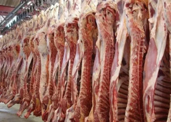 Argentina ajusta condiciones para exportar carne bovina a EEUU