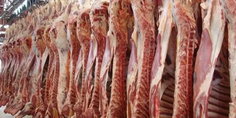 Argentina ajusta condiciones para exportar carne bovina a EEUU
