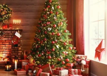 Navidad 2024: Llega la época de fiestas y las familias buscan precios para disfrutar de la tradicional fiesta