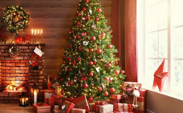 Navidad 2024: Llega la época de fiestas y las familias buscan precios para disfrutar de la tradicional fiesta