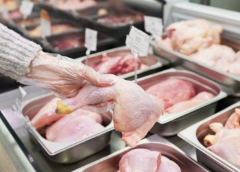 Sigue en alza el consumo de pollo y supera a la carne vacuna