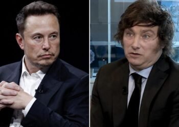 La defensa de Javier Milei a Elon Musk tras la polémica por su saludo nazi