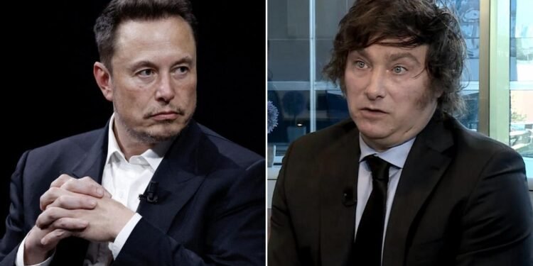 La defensa de Javier Milei a Elon Musk tras la polémica por su saludo nazi