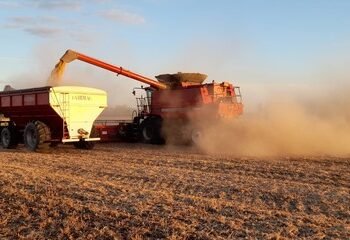 Baja de retenciones: el Gobierno recibe a las cerealeras mientras define la letra fina