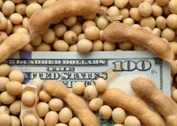 Retenciones: productores y consultores creen que la reducción llegó para quedarse