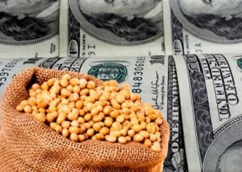 ARCA detalló los requisitos que deberán cumplir los agroexportadores para liquidar las divisas