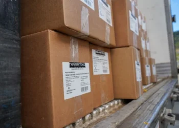 Newsan anunció que exportará mejillones, la primera vez made in Argentina