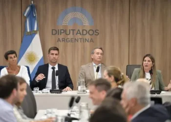 Con gritos y chicanas, la Cámara de Diputados debate el proyecto de Ficha Limpia